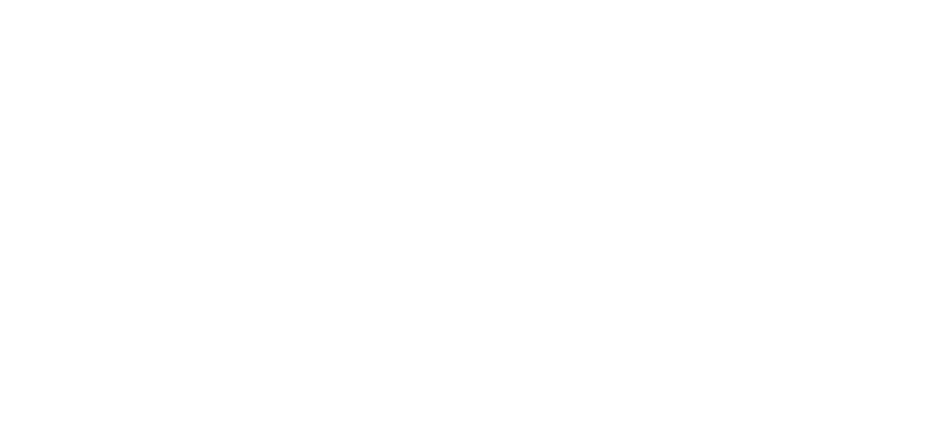 NESET S.A. DE C.V.